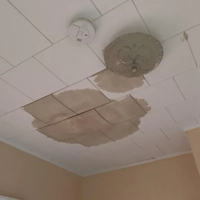 Ceiling Water Damage Repair in Macoupin County, IL