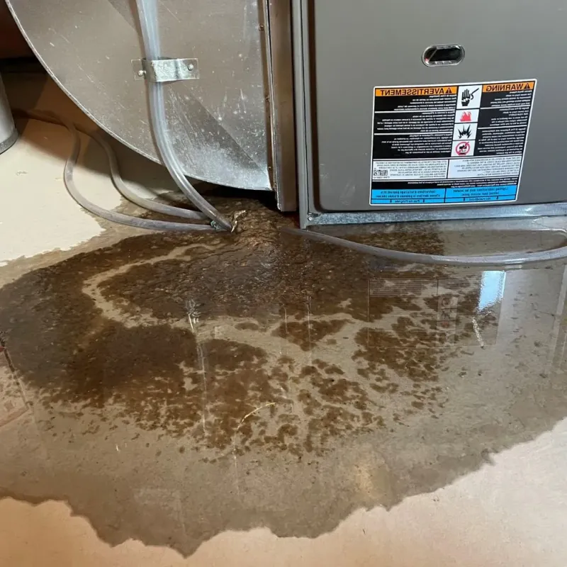 Pipe Burst and Leak Restoration in Macoupin County, IL