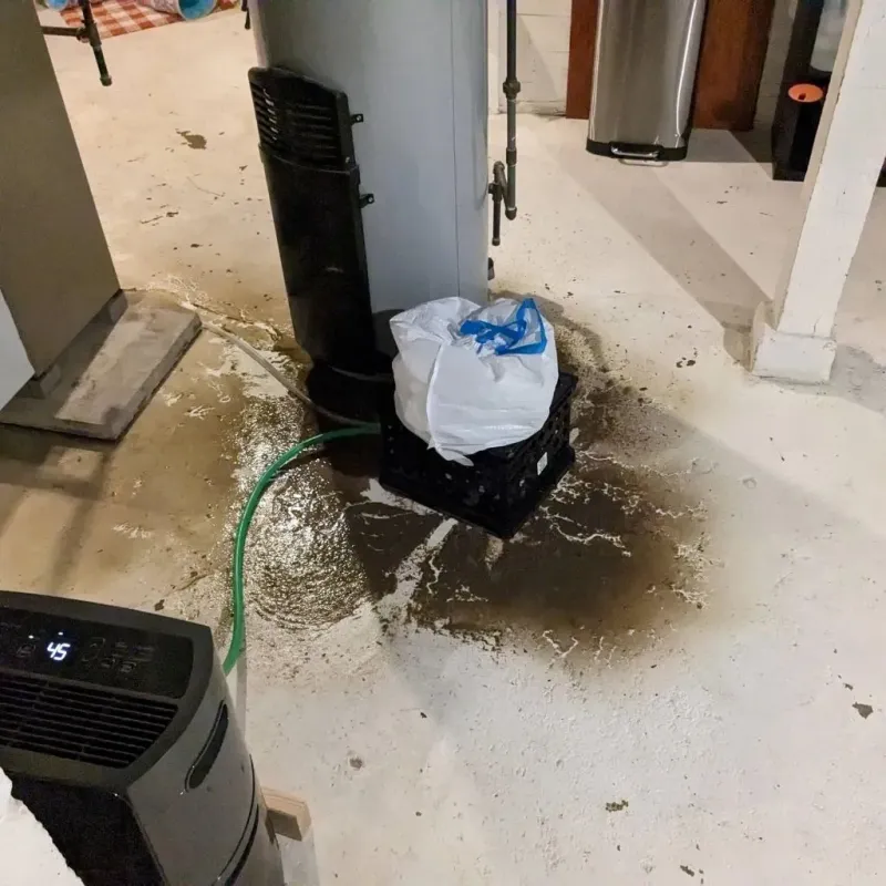 Sewage Backup Cleanup Service in Macoupin County, IL